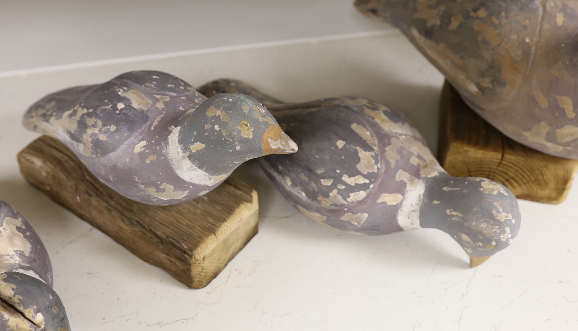 Four painted and carved pine decoy pigeons, largest 45cm long